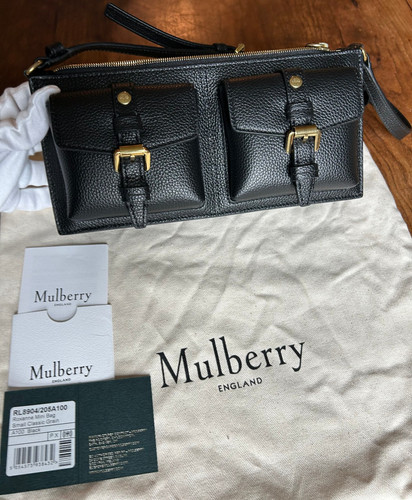 Luxury nwot mulberry mini - luxury,