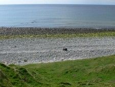 Photo 6x4 West End beach