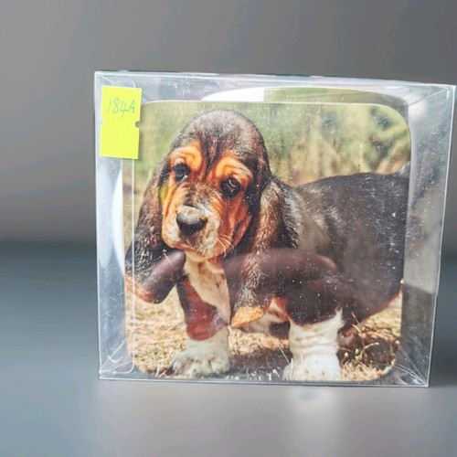 Cup coaster set of basset - cup,