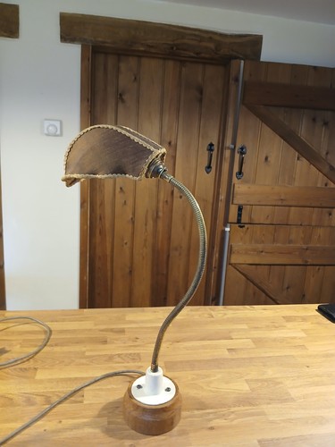 Vintage goose neck lamp - vintage,