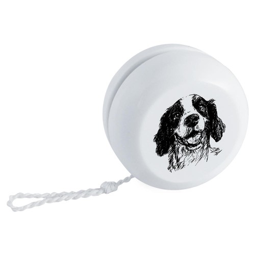English springer spaniel - 'english,