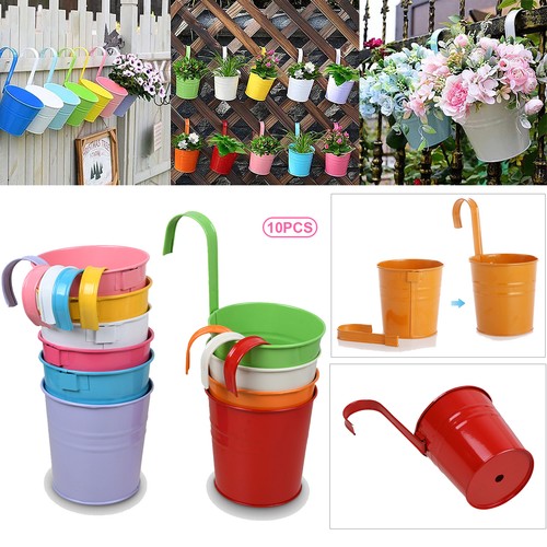 Plant flower pot - plant, 10