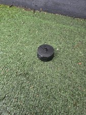 WAGNER WALLPAPER STEAMER