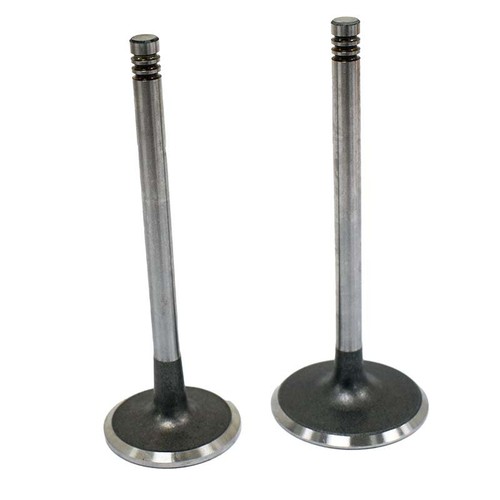Engine valve pair can - valve, can-am