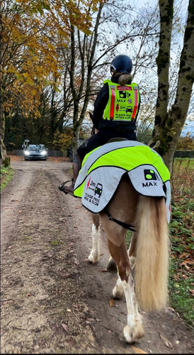 Evoequine viz horse - hi-viz,