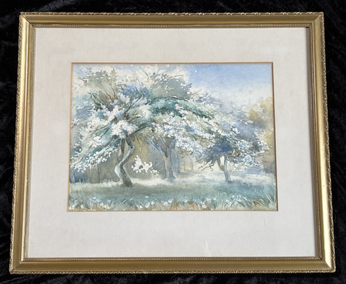Blossom trees spring - a,