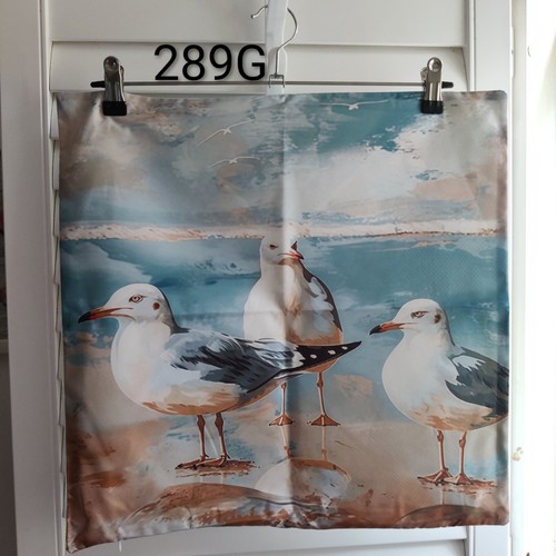 Seagulls beach summer soft - beach,
