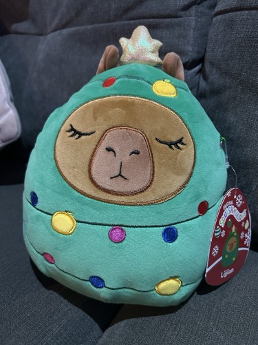 Brand new squishmallow - squishmallow,