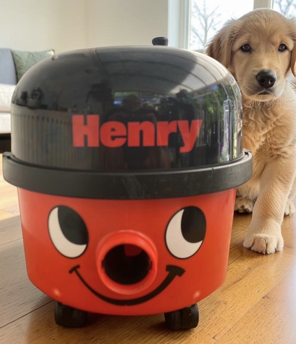 Machine only henry hoover - only, henry/hoover