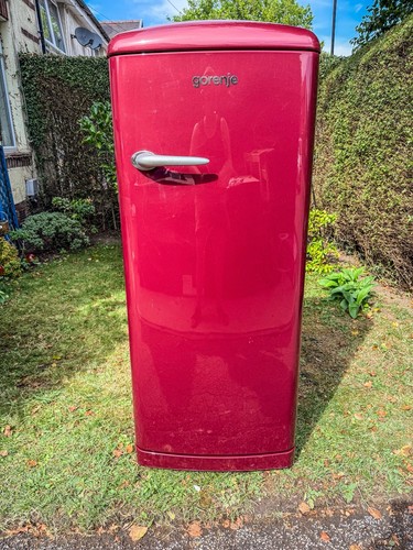 Gorenje fridge freezer - gorenje,