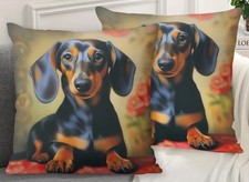 Dachshund Black and Tan