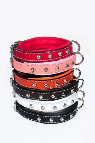 Leather small dog - leather, collars