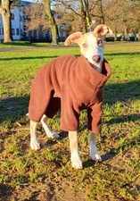 Dog Fleece all in one, zip up, all in one, body suit, easy on and off XS TO 4XL