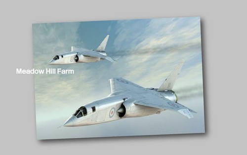 Fridge magnet bac tsr plane - fridge,