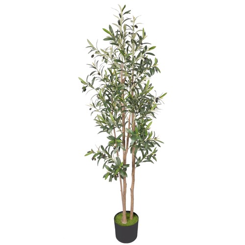 Homcom 175 artificial olive - homcom, cm