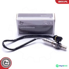 Esen skv oxygen sensor - oxygen,