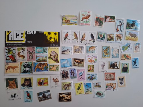Zoo animals birds thematic - zoo, &