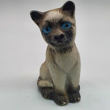 Beautiful Siamese Cat Blue
