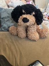 Cuddles Time Max The Cockerpoo