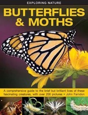 Butterflies and Moths by John Farndon