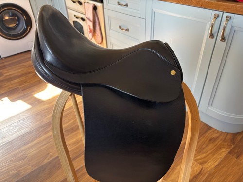 Black showing saddle - black,