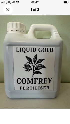 Comfrey concentrate organic - concentrate,