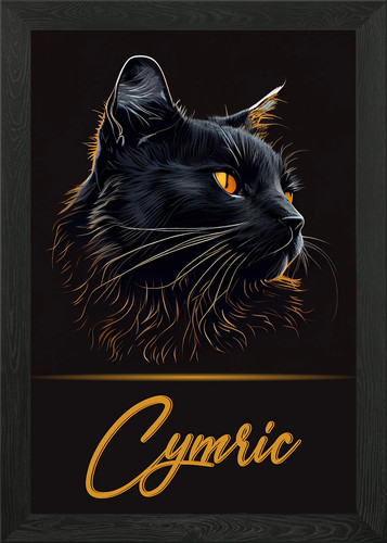 Cymric framed wall art poster - wall,