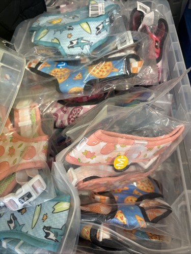 Frenchie joblot dog - frenchie, harness