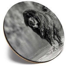 Round Single Coaster  - BW -