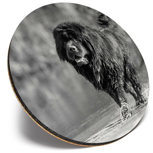 Round single coaster bw - ,