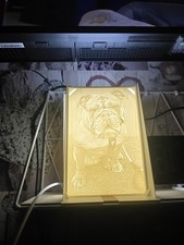 Personalised Light Up Photo