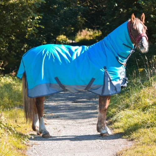 600d lightweight turnout horse - 600d,