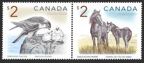 Canada 1997 2005 - $2, peregrine