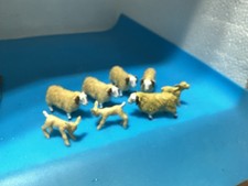 Five Britains Welsh Mountain Sheep And Three Lambs