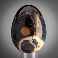 Polished Septarian Stone Egg