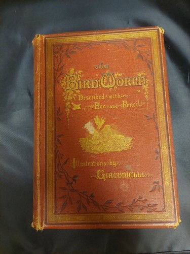 The bird world - '', described