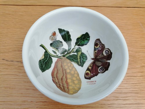 Vintage portmeirion botanic - vintage,