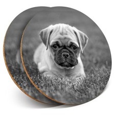 2 x Coasters bw - Adorable Pug
