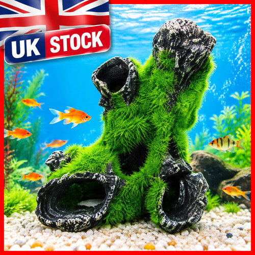 Aquarium fish tank - fish, ornament