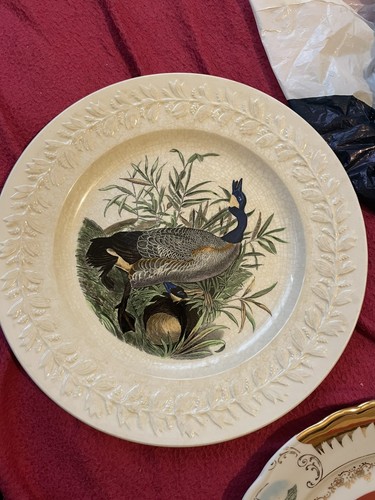 Adams china the birds of - china,