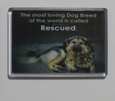 Extra large fridge magnet - extra,