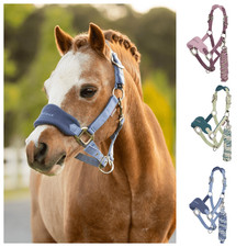 LeMieux Mini Vogue Headcollar