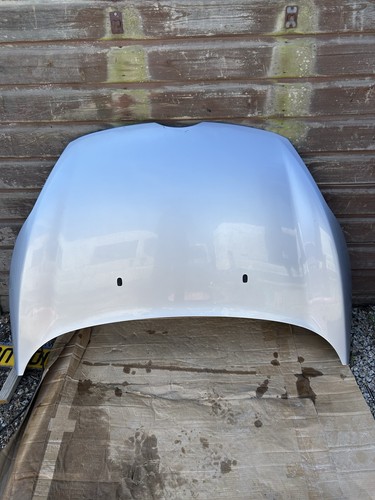 Ford fiesta mk7 bonnet - ford, in