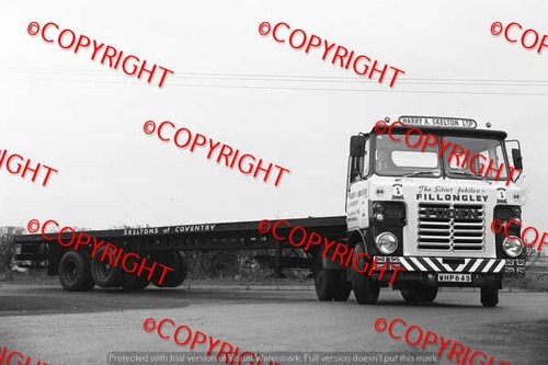 Truck photo skeltons - skeltons, of