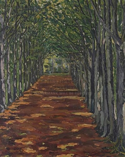 The cathedral hackwood park - the,