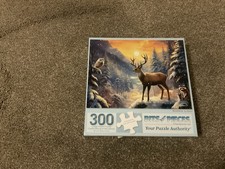 Bits And Pieces Reunion 300