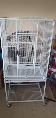 Milo misty tier - &, large