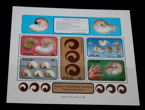 Palau 1988 chambered nautilus - palau,