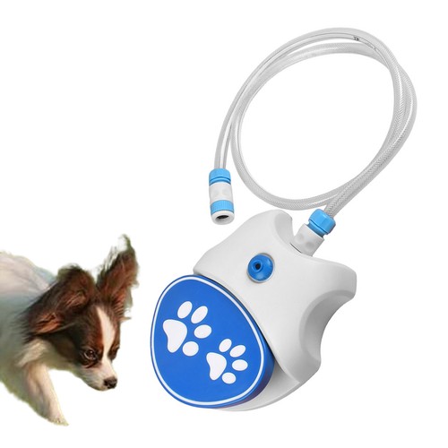 Drinking fountain for dogs pet - drinking,