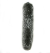 Cat or Wolf  Animal Fancy